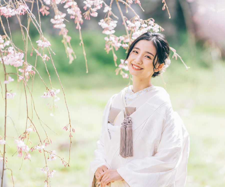 満開な桜と芝生の調和が美しいロケーションフォト