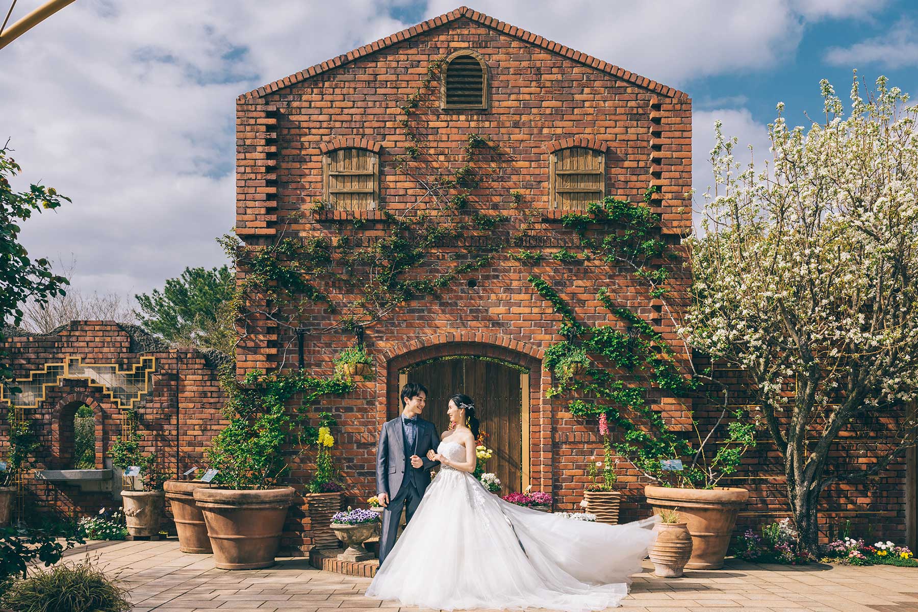海の中道海浜公園で撮る美しい花畑に囲まれたロケーションフォト