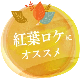 紅葉ロケにおすすめ