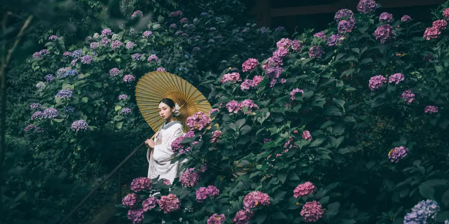 あじさいロケーションフォト | 横浜店 | 結婚写真・フォト