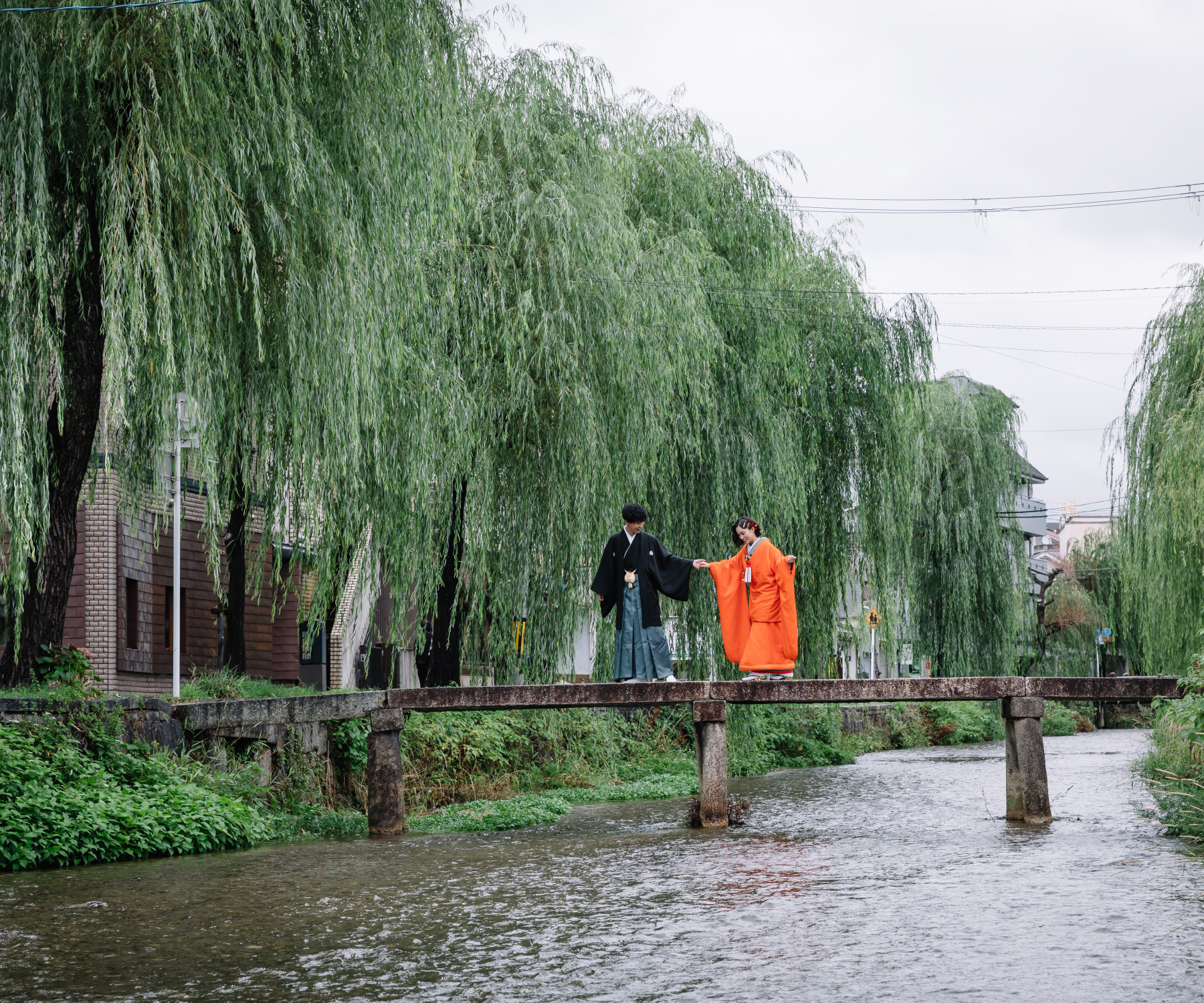 柳に囲まれた川の上に架かる橋で新婦様をエスコートする新郎様のロケーションフォト