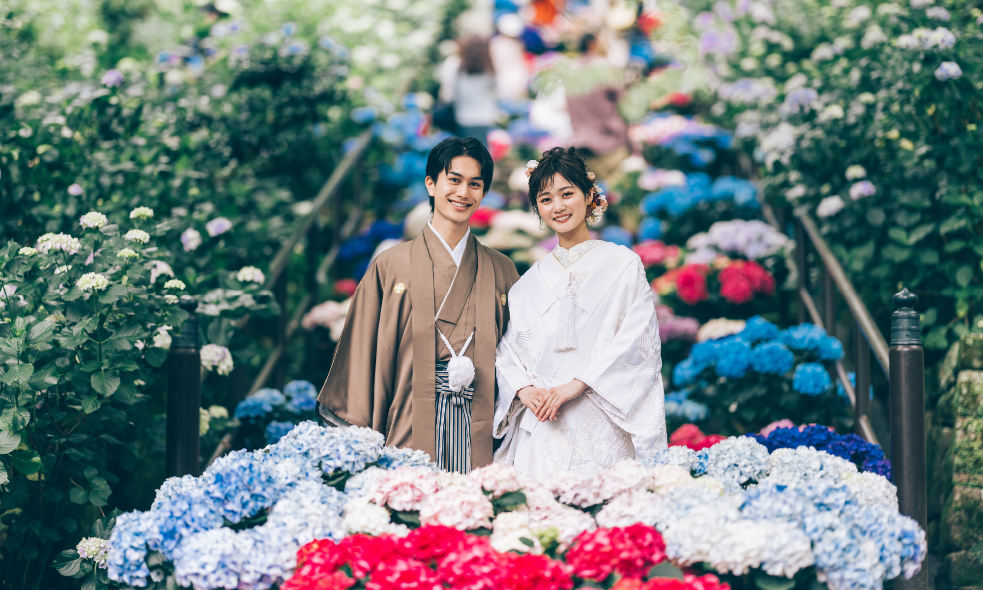 妙本寺で撮影するロケーションフォト