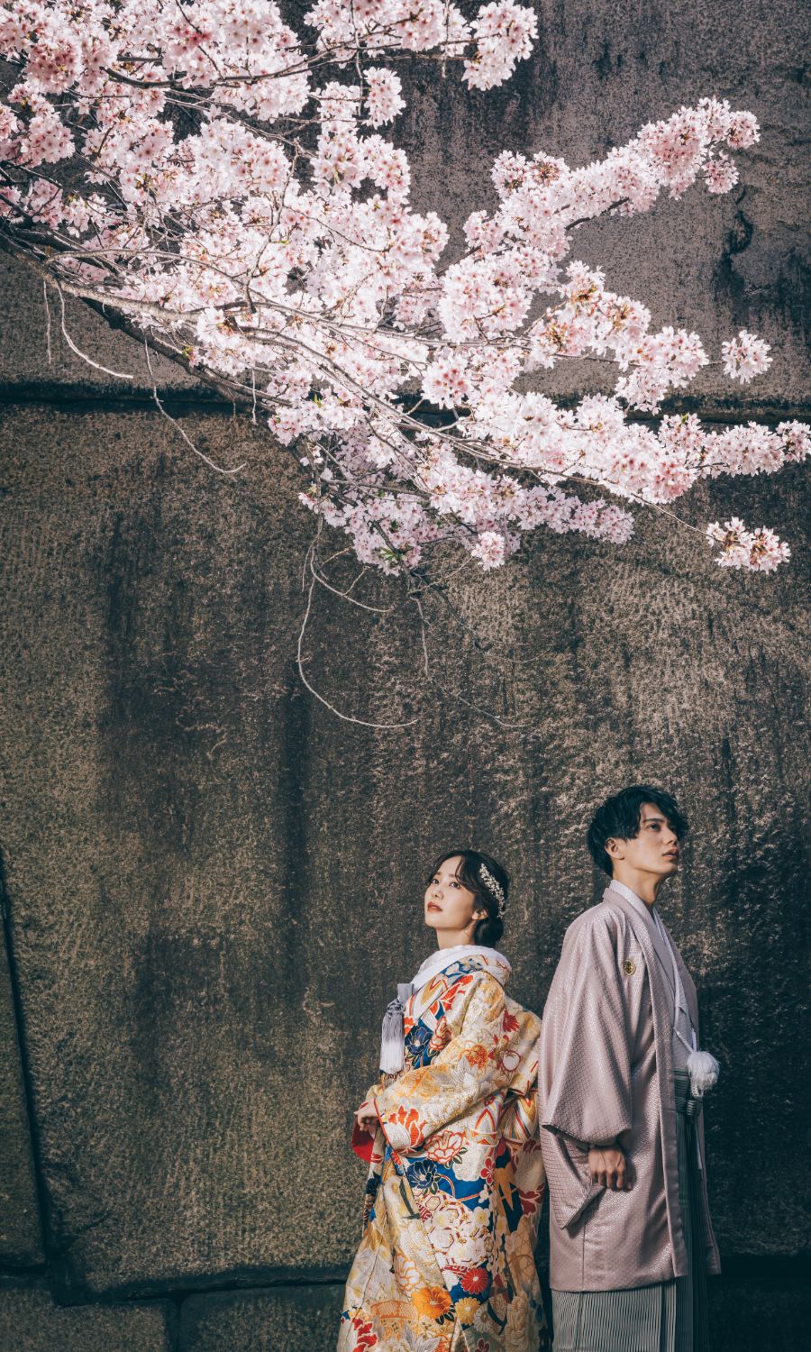 桜の下でアンニュイな表情をしながら背中を合わせる新郎新婦様の和装前撮り