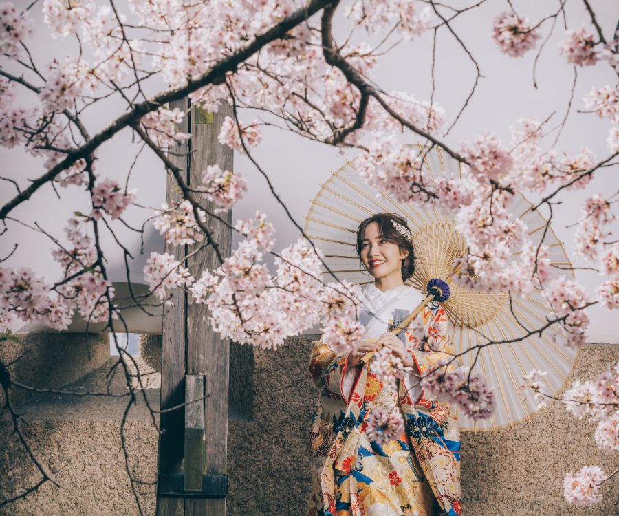 和傘をさして桜を眺める新婦様のソロショット