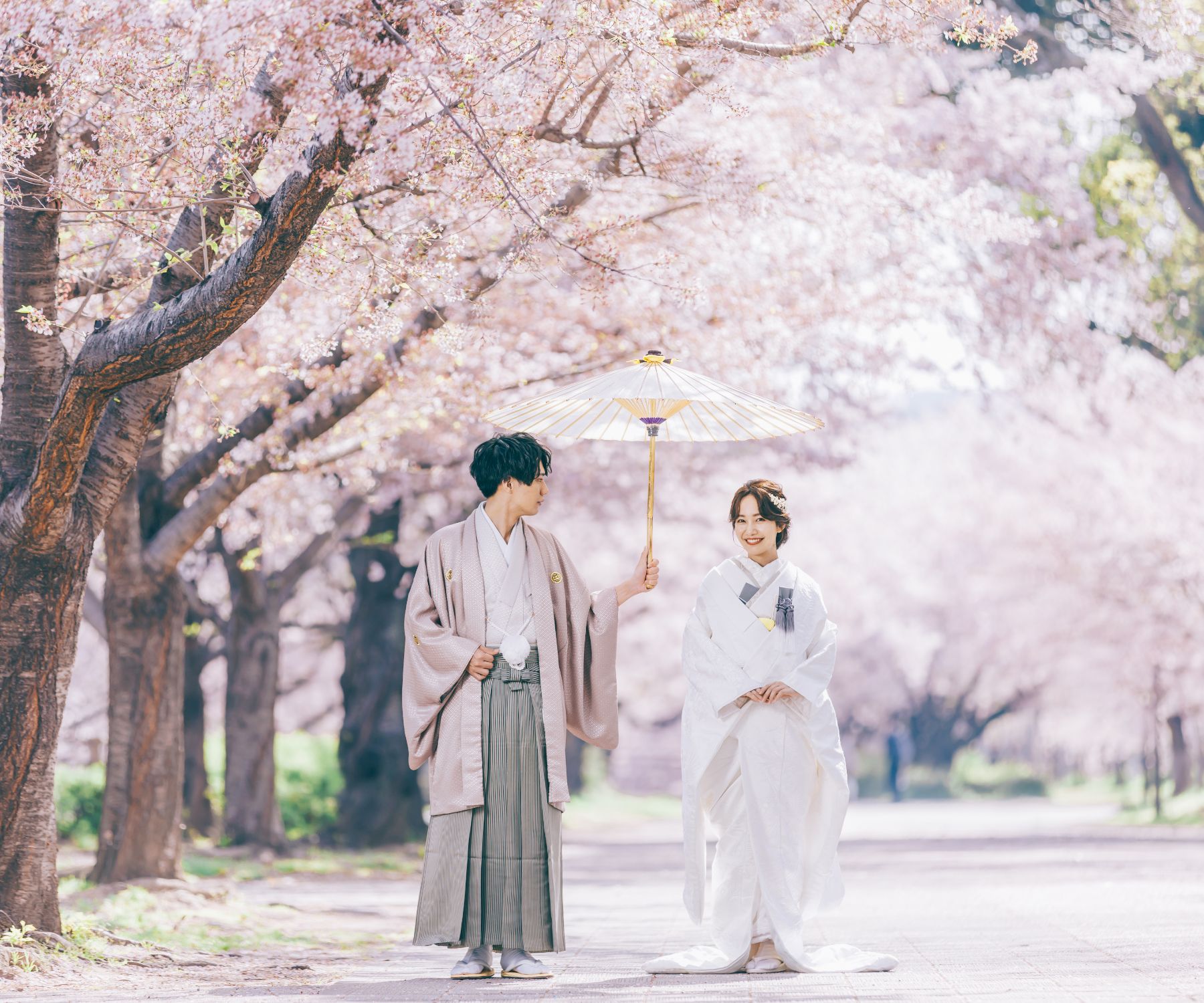 桜に囲まれた並木道を並んで歩く新郎新婦様のロケーションフォト