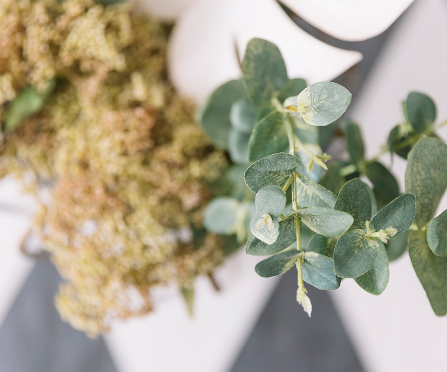 草花が並んでいる写真