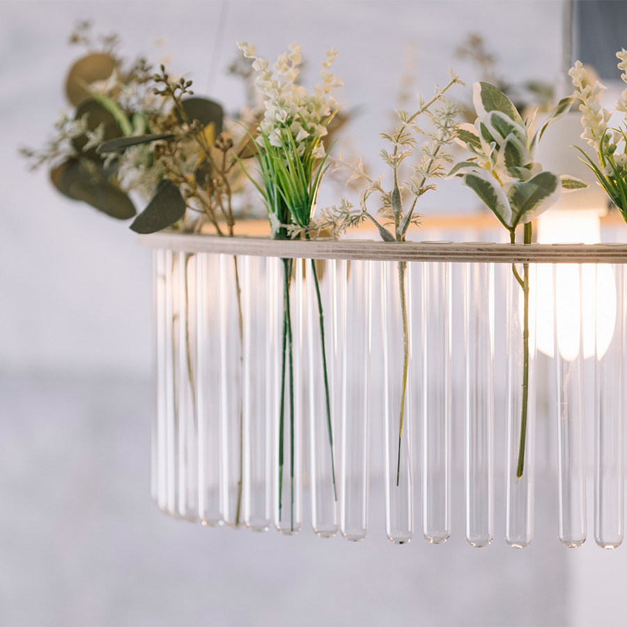 試験管に入っている草花の写真