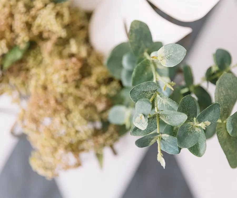 草花が並んでいる写真